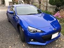 新しい相棒