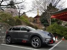 ちょっと多摩川を越えてドライブ