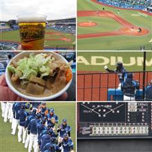 野球観戦（千葉ロッテvs埼玉西武）