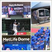 野球観戦（埼玉西武vs横浜D ...