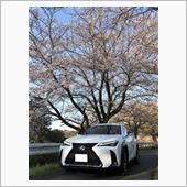 桜を求めて埼玉スタジアム周辺へ