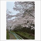 花見と玉子サンド競争曲？