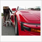 ９３０フラットノーズ、もう売 ...
