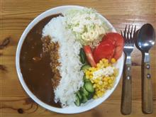ワンディッシュカレー・・・