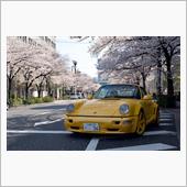 桜満開！そして９６４ゲンバラ ...