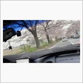 生存報告を兼ねての増車😳
