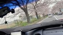 生存報告を兼ねての増車😳