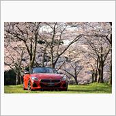 桜ドライブ2021第一弾　～ ...