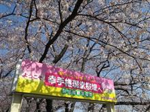 幸手権現堂へお花見ドライブ 幸手権現堂へお花見ドライブ