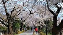 今年もチラ見で終了ですな 今年もチラ見で終了ですな