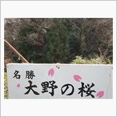 桜巡り♪
