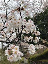 お墓参り