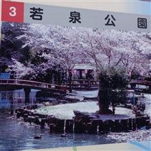 ♪満開、花は満開