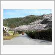 桜・ワゴンR・2021
