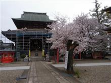ひっそりとお花見 ひっそりとお花見