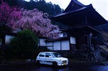 今週も日曜日は雨が強かった・・・。