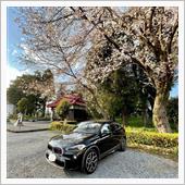 桜と お酒と ベランピングな ...