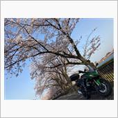 今年度も終了