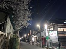 銭湯と桜と