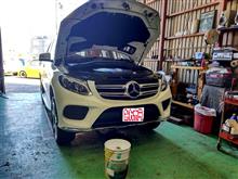 ＧＬＥ３５０ｄにペトロナス！