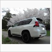 浜松って車関係凄いの？
