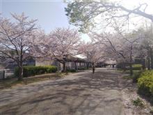 ４月に入ったので自転車通勤再開です