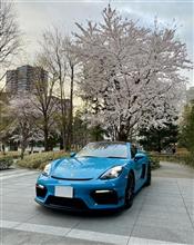 ＃TournamentOfColors応援企画　〜sakura&amp;GT4〜
