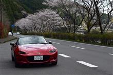 春の桜ドライブ、第三弾は四万十川沈下橋巡り