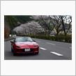 春の桜ドライブ、第三弾は四万十川沈下橋巡り