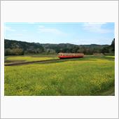 小湊鐵道　石神の菜の花畑 （ ...