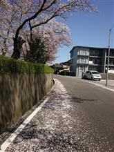 春も終わりか… ～フロントサスペンション　リビルド～