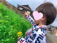 お散歩٭❀* お散歩٭❀*