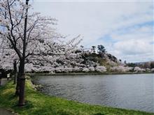 タイヤ交換からお花見へ