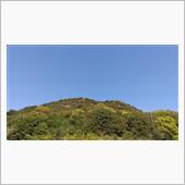 大仙山登山　山ツツジ編