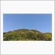 大仙山登山　山ツツジ編