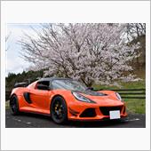 2021 北茨城 桜🌸ツー ...
