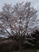 管理ショック❗大変でした…(^_^;)