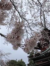 母から送られてきた写真 母から送られてきた写真