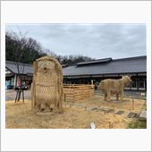 面倒くさがり屋でございまする
