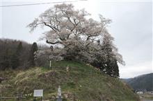 事前確認（になればいいなぁ・・