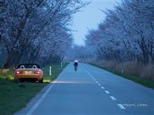 北陸の桜を愛でる旅(Part.3 河北潟・金沢市街のお花見ドライブ）