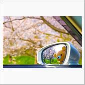 ごゆるりお花見