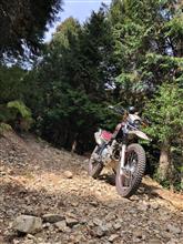 久々のバイクでお山にソロツーリング