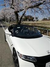 最初はどうなるかと思いました。（購入して２年）