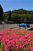 RX-8と遊ぶ　・・・はずでしたが(T_T)