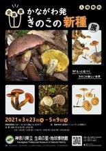 かながわ発 きのこの新種展@神奈川県立生命の星・地球博物館 かながわ発 きのこの新種展@神奈川県立生命の星・地球博物館