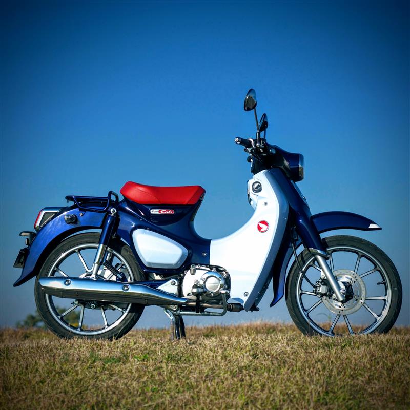 スーパーカブの125乗ってる。半年前免許取得して新車探しに行ったら見た瞬間に即決した。 