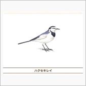 休み