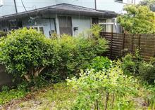 萩市　ひょう（雹）とあられ（霰）が降っています。12時30分