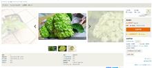 種苗法‐Seeds and Seedings Law‐